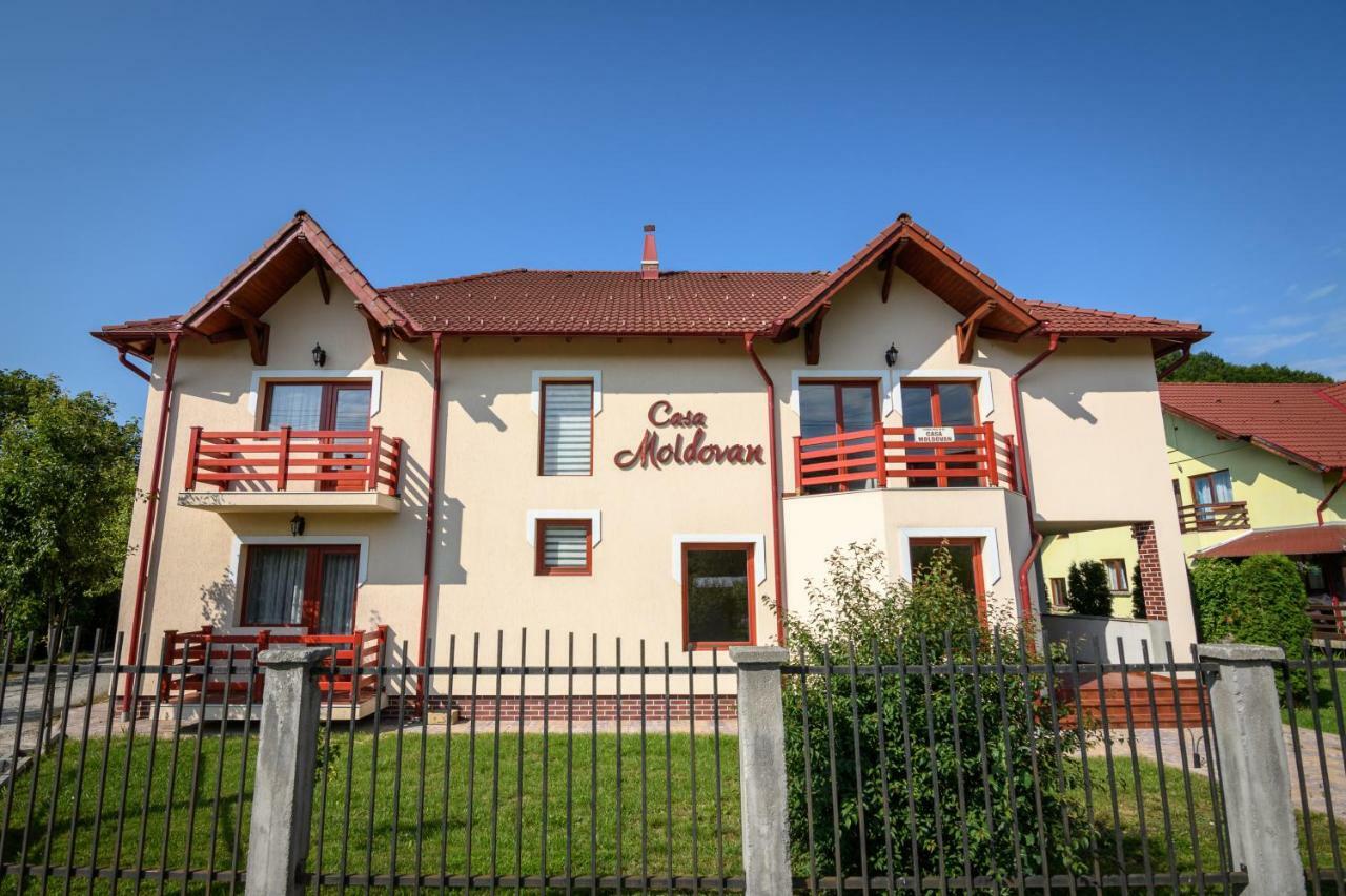 Casa Moldovan 索瓦塔 外观 照片